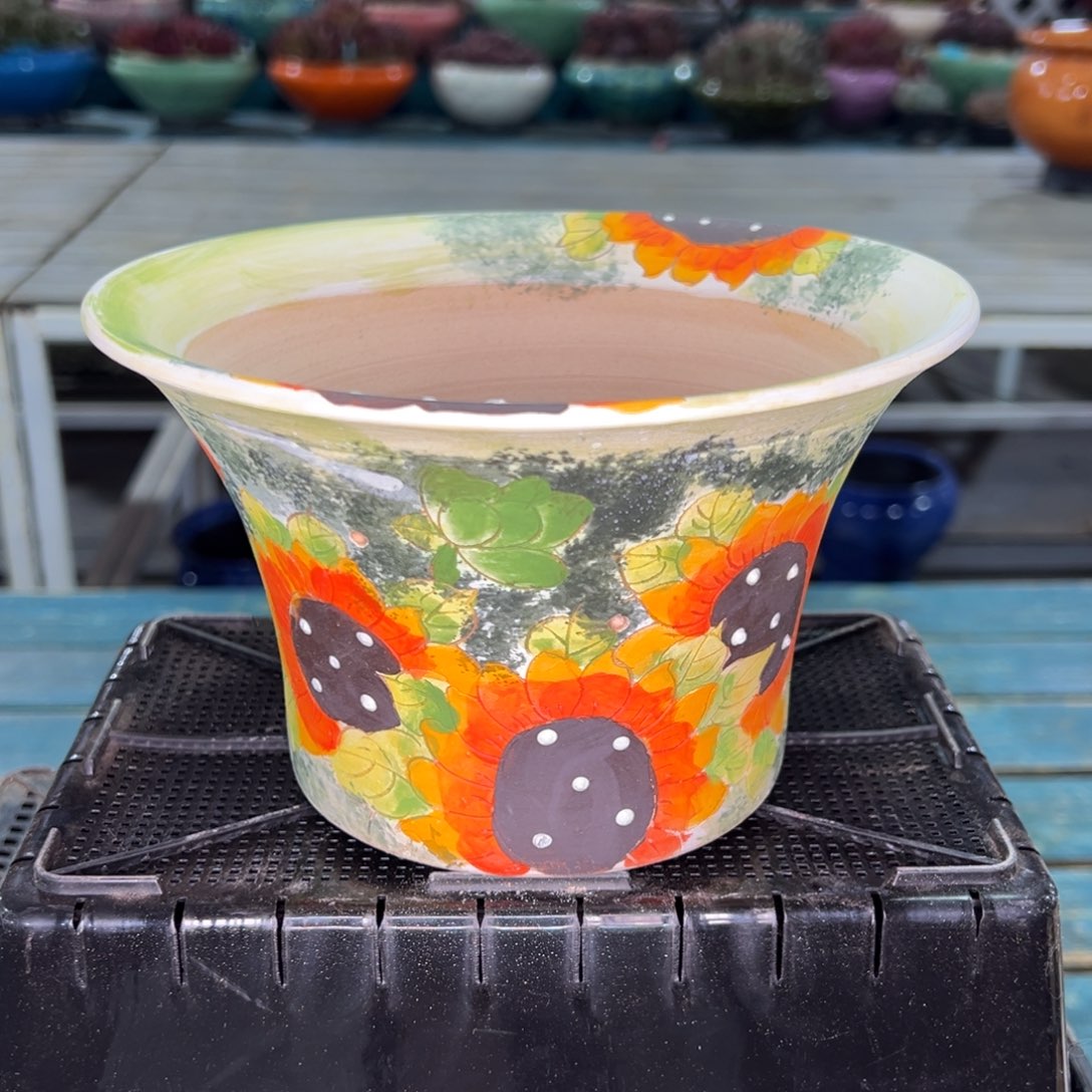 从前慢多肉精选编号0122.133