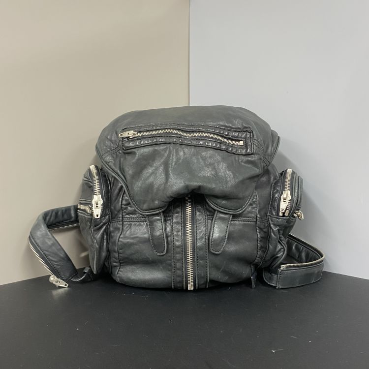 包包/ALEXANDER WANG/95新/C18374969323/[251203SYWC]