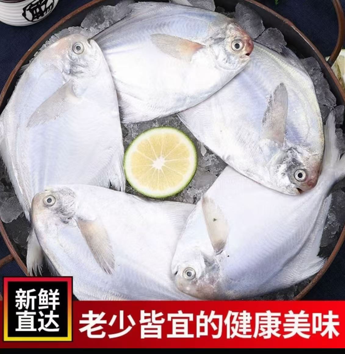 到手五斤  新鲜海捕银鲳鱼 3-5条一斤 京东顺丰冷链 速冻锁鲜发货