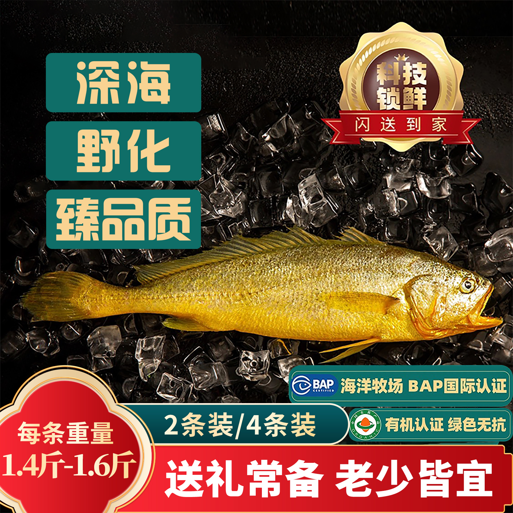 【1.4-1.6斤/条】深海高品质大黄鱼 新鲜无激素 冰鲜顺丰冷链黄花鱼