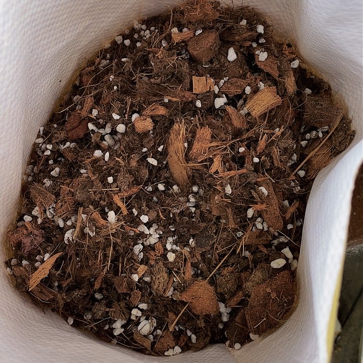 法师专用养护01号