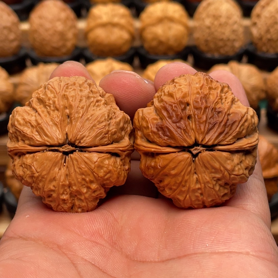 吊坠文玩核桃金蟾王40尺