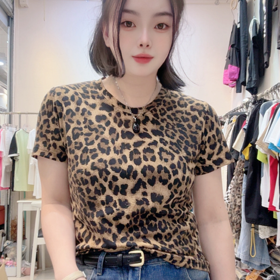 罗纹棉上衣豹纹新款圆领正肩弹力显瘦百搭减龄休闲风女t