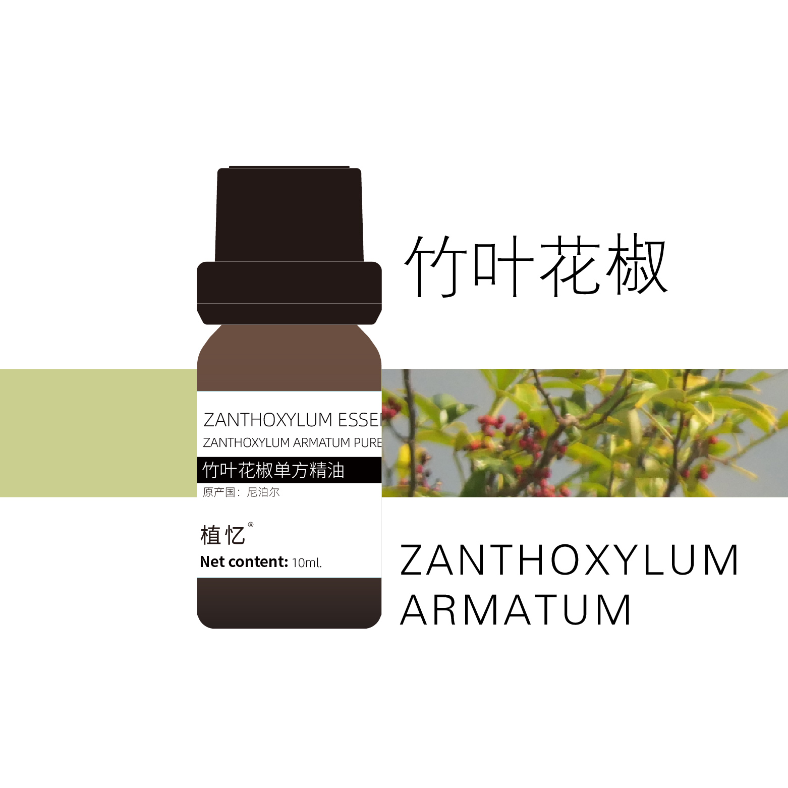 植忆竹叶花椒精油 尼泊尔 植物单方精油