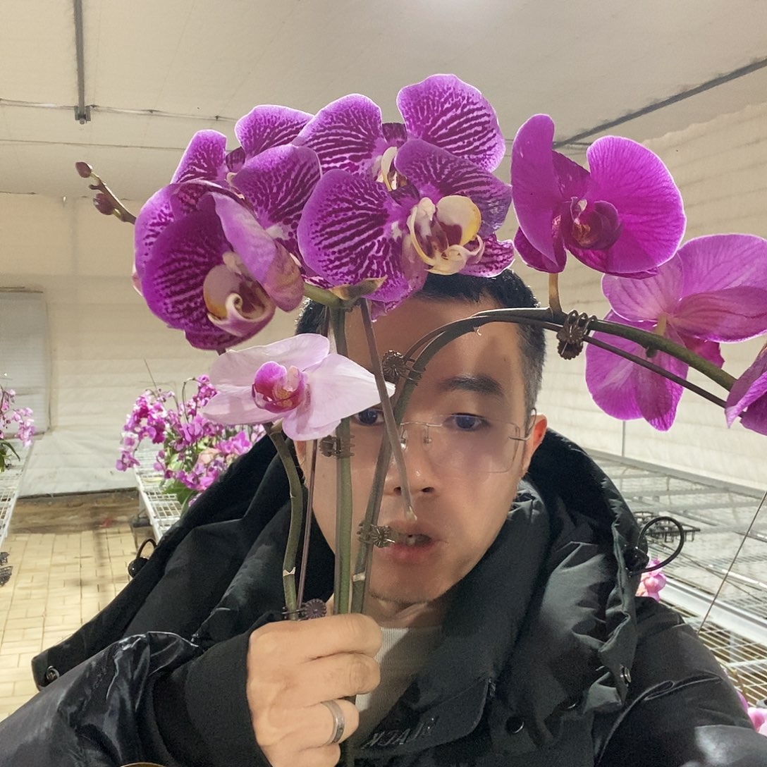 完全开放带花花后苗3颗花剑不售后有几朵好花