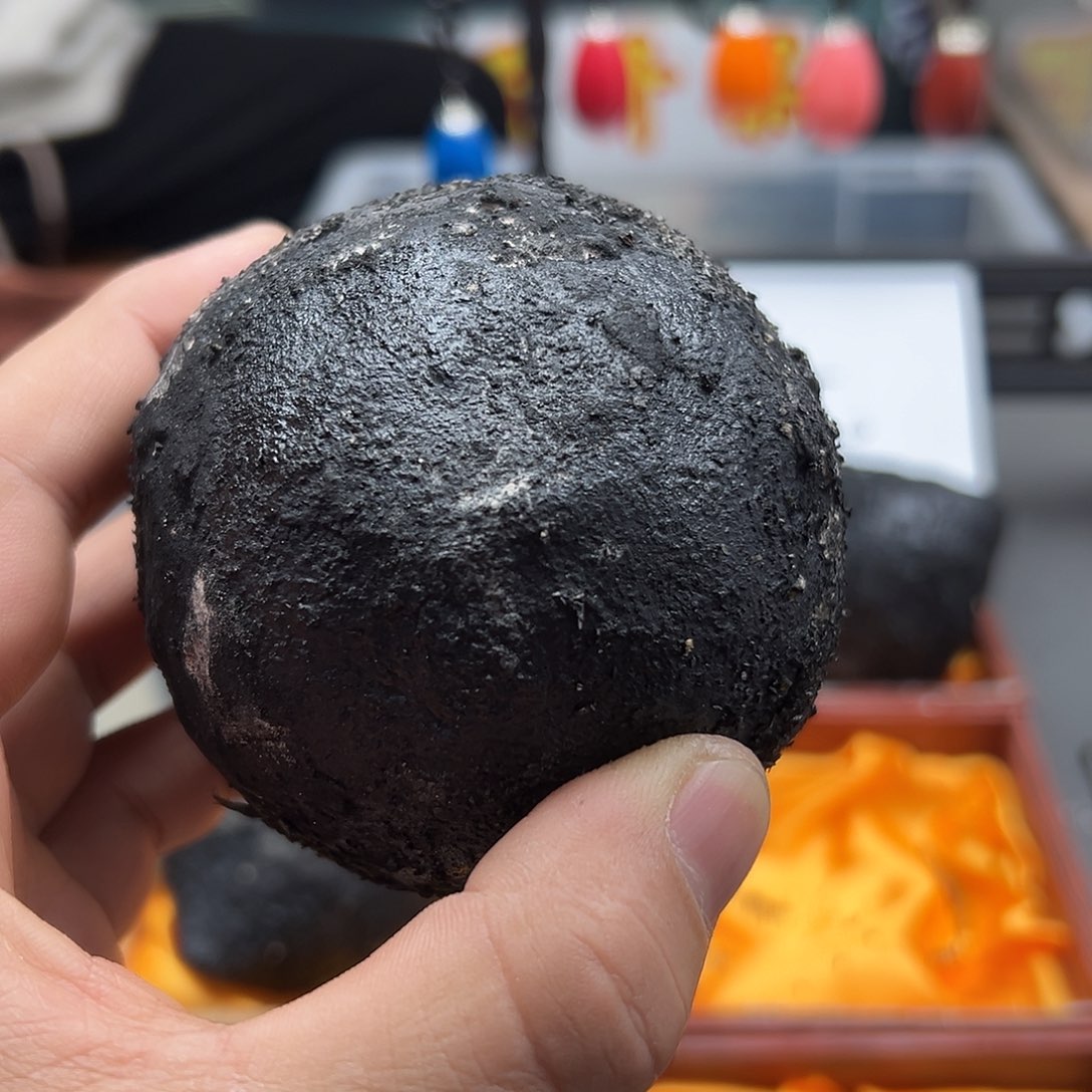 终***生菩提根/象牙果吊坠