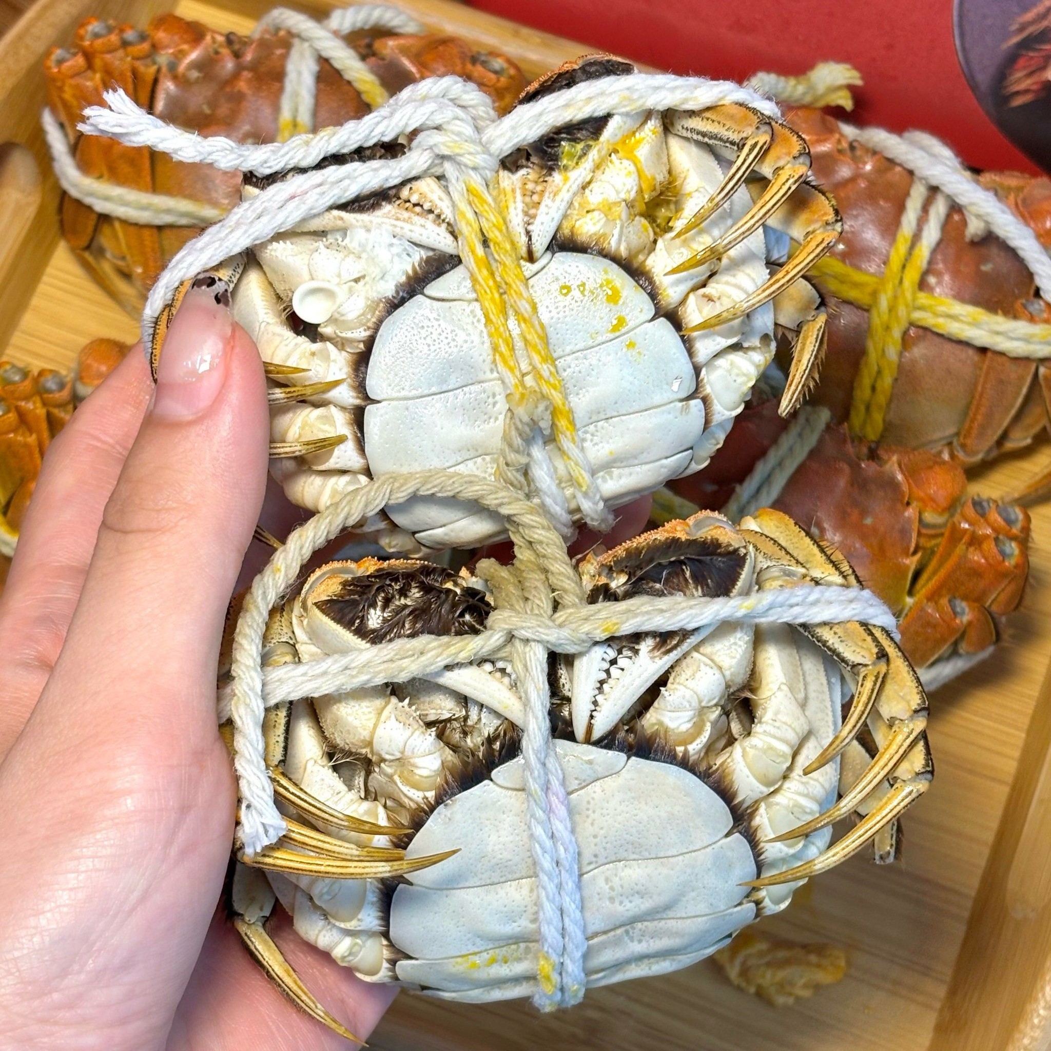 江苏精品鲜活大闸蟹母蟹2.8~3.0两/共8只