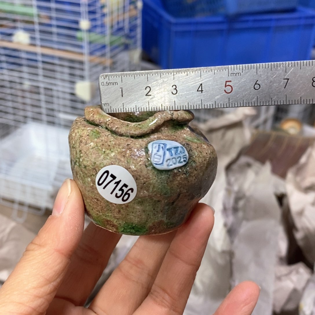 花盆拍3送一个小礼物