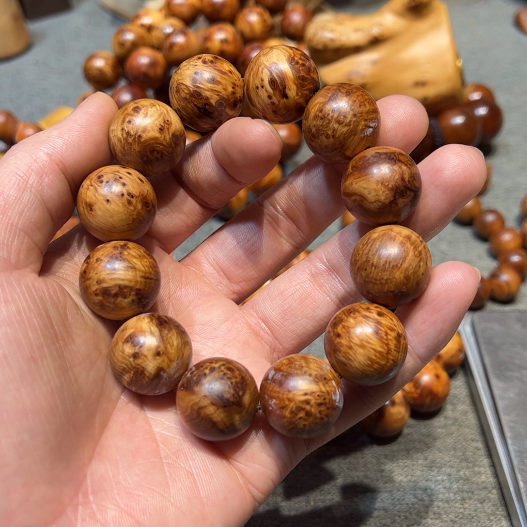 太行崖柏陈化太行