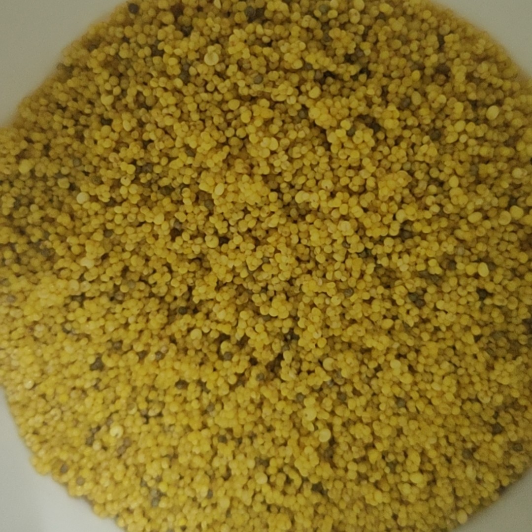 鸡蛋米，蛋小米，手养文鸟饲料