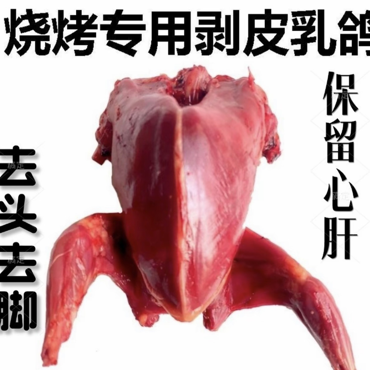 精选鸽子肉可以吃