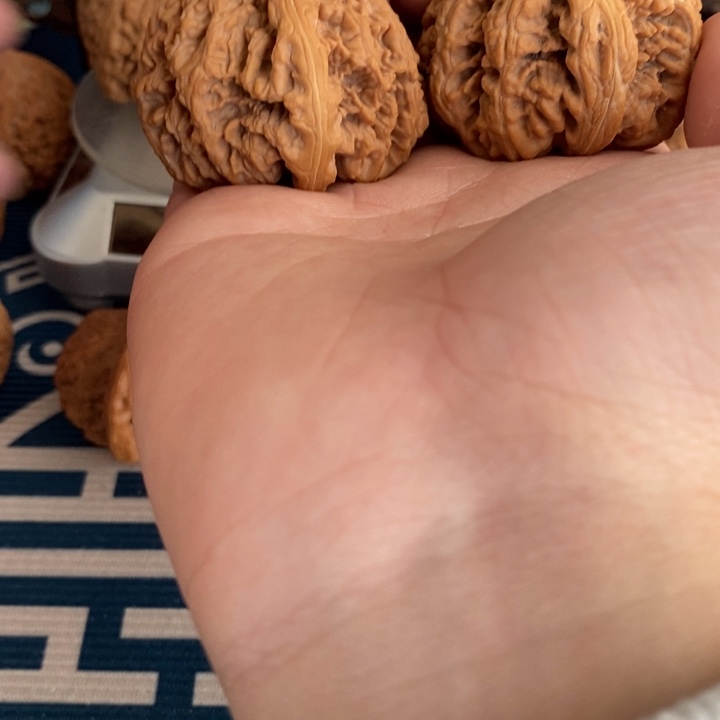 吊坠文玩核桃核桃