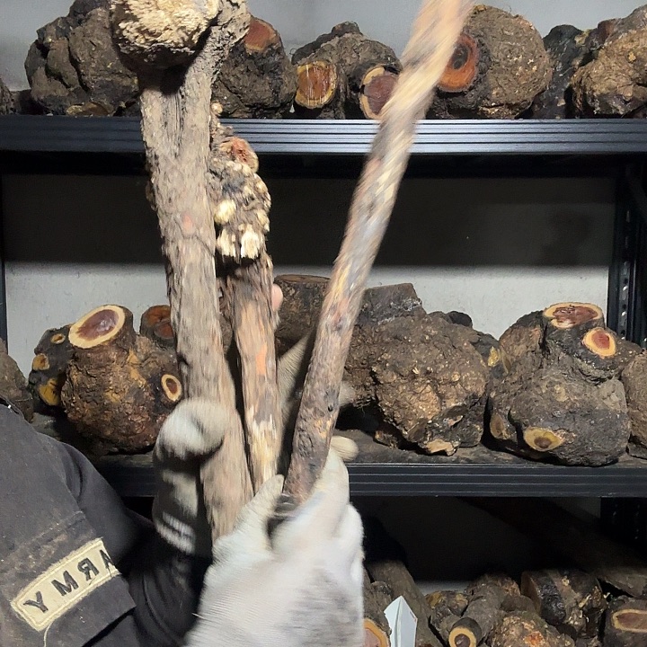 三***爸香榧木火琉璃的故事是一个人