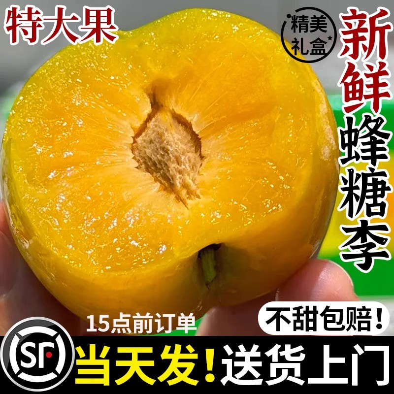 【顺丰包邮】正宗蜂糖李新鲜李子当季水果脆甜胜过贵州六马蜂蜜李