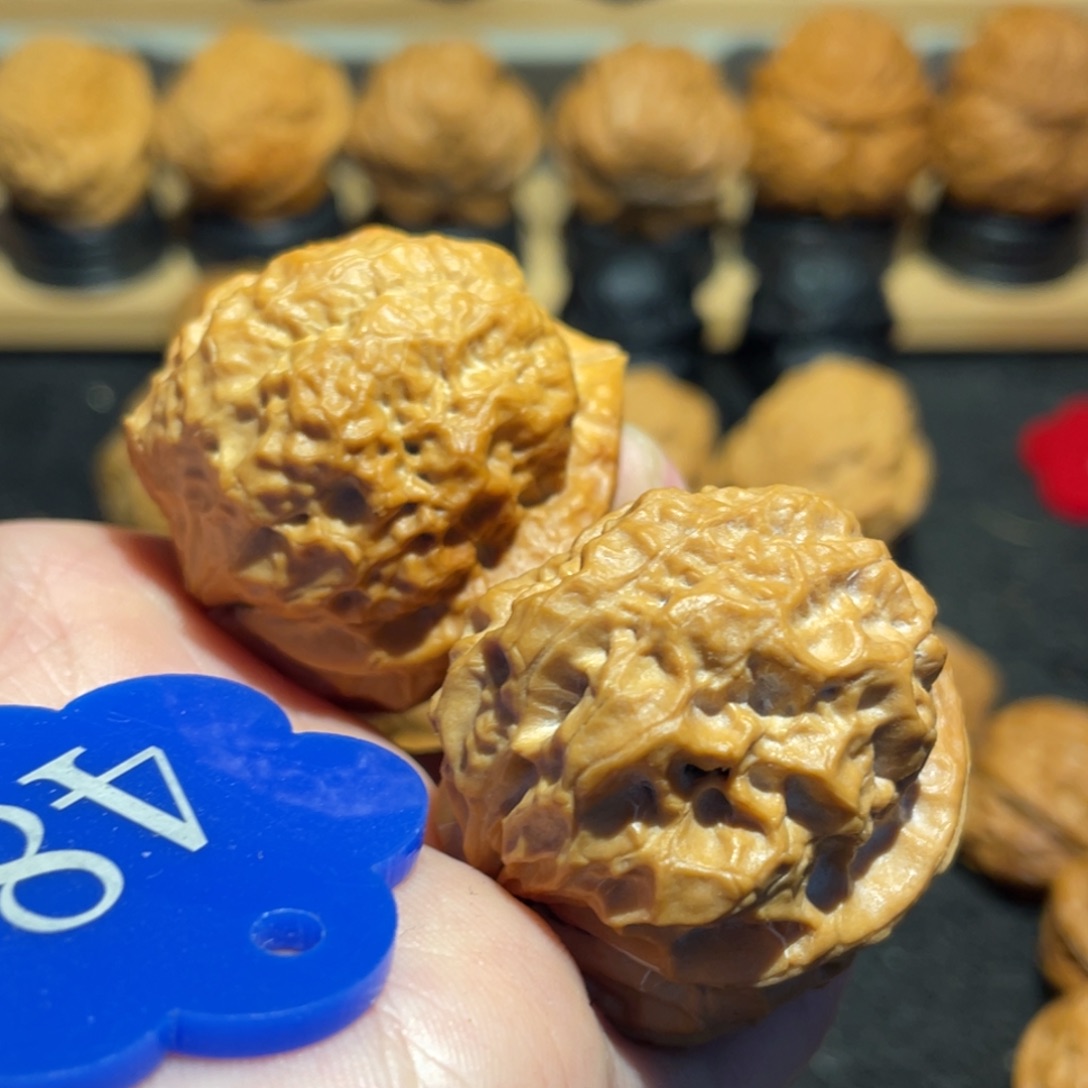 上树古蟾微彩38。  