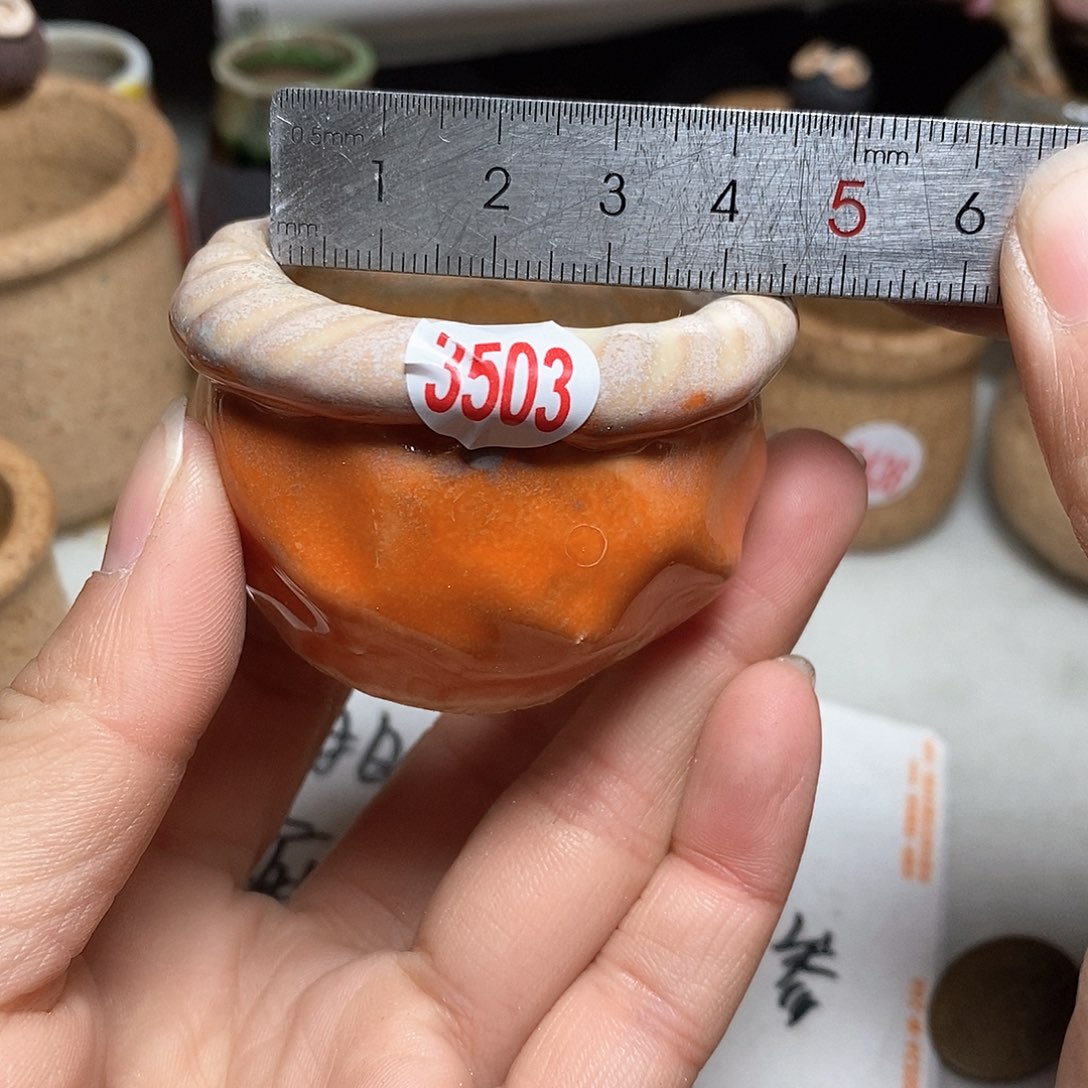 红陶拍5送一个小