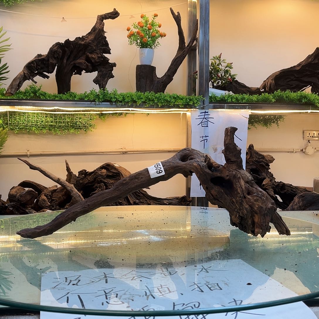 柚木宗*安沉木鱼缸造景