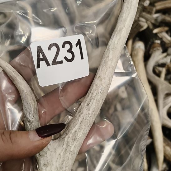 熊****鹿角鹿角鹿角鹿角鹿角