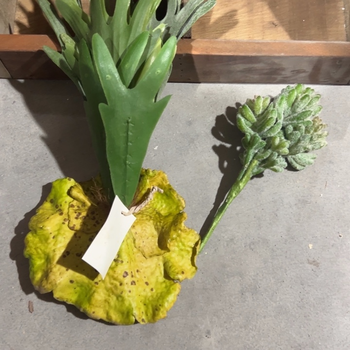 英***姐外贸孤品默认瑕疵