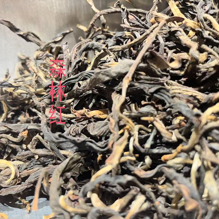 益壶春茶叶  滇红 森林单株红  250克一份