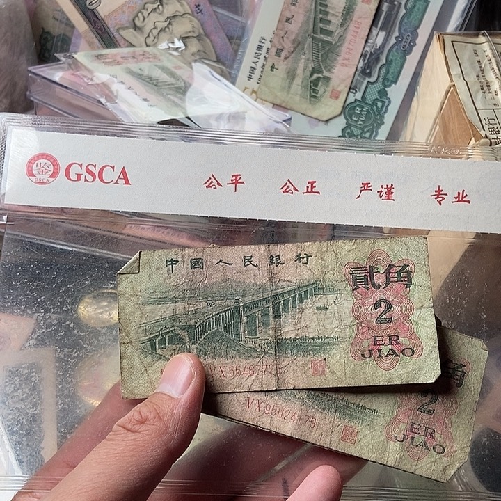 9张0000000000000000031