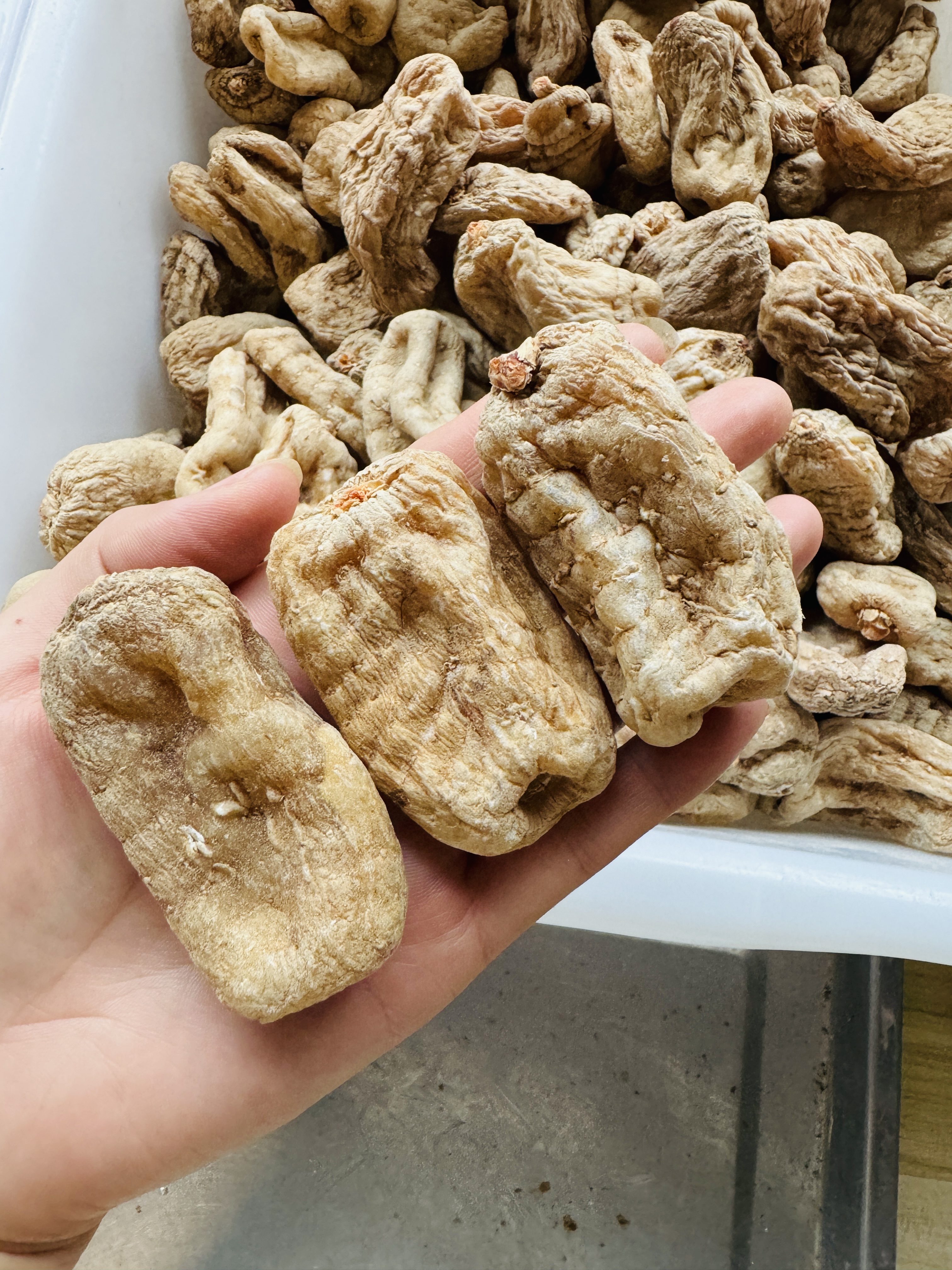 云南昭通无硫天麻500克