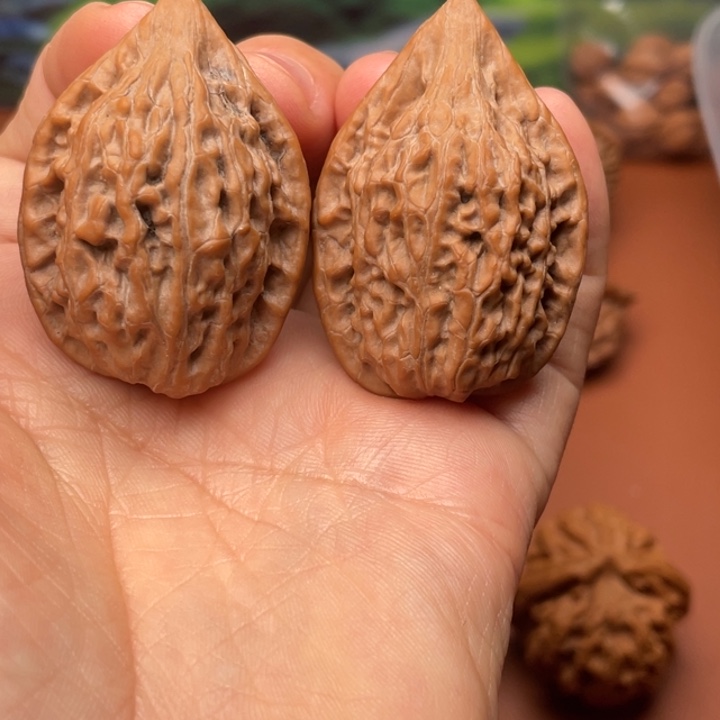 J***…核桃秦核等人的故事都是在