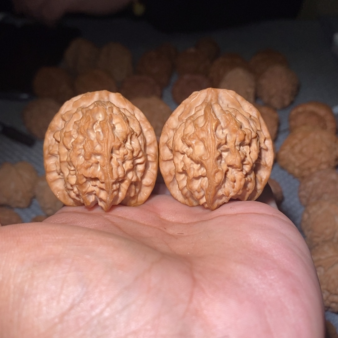 吊坠桃核40尺原装苹果