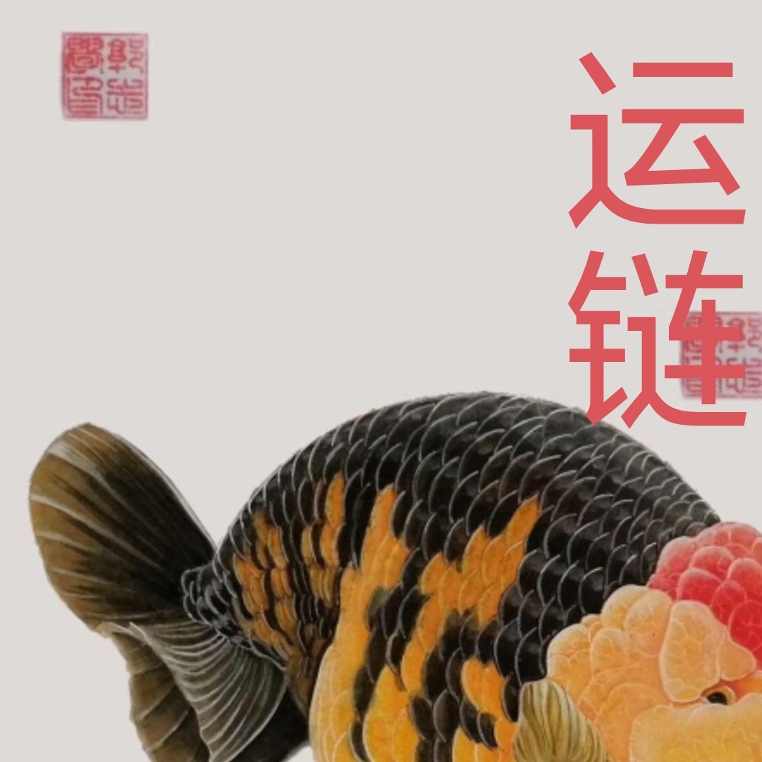 发货保障安全到家兰寿金鱼