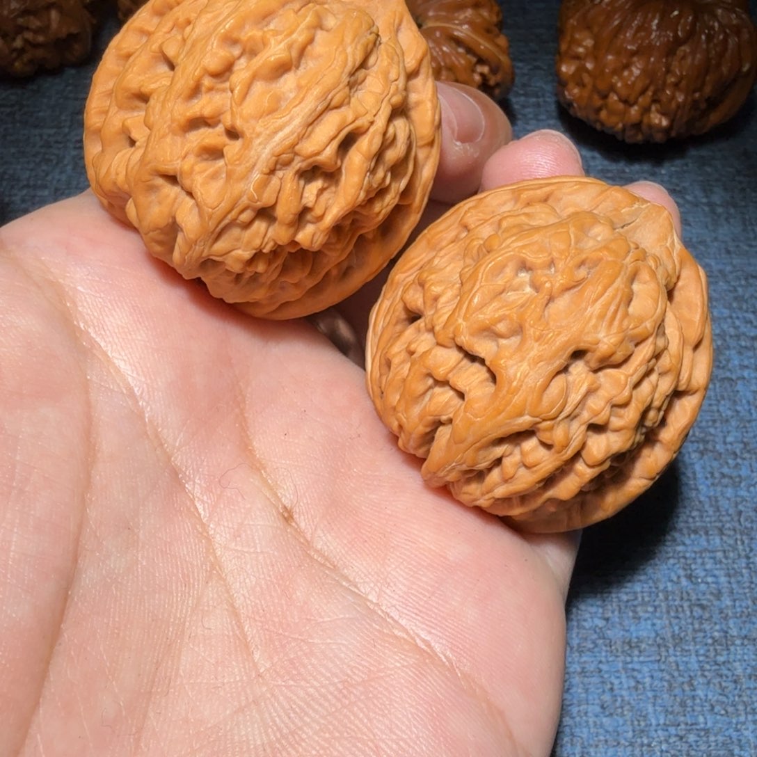 文玩核桃把件一***萄红锦鲤41尺寸210