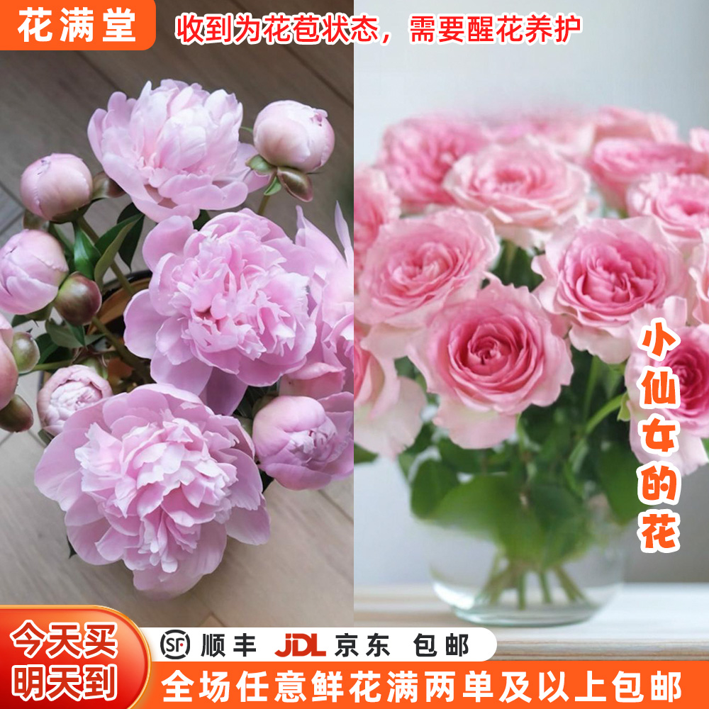 【次日达·小仙女的花】芍药5枝洛神10枝·全场两单包邮·直发·批发·生活鲜花DIY次日达·芍药次日达