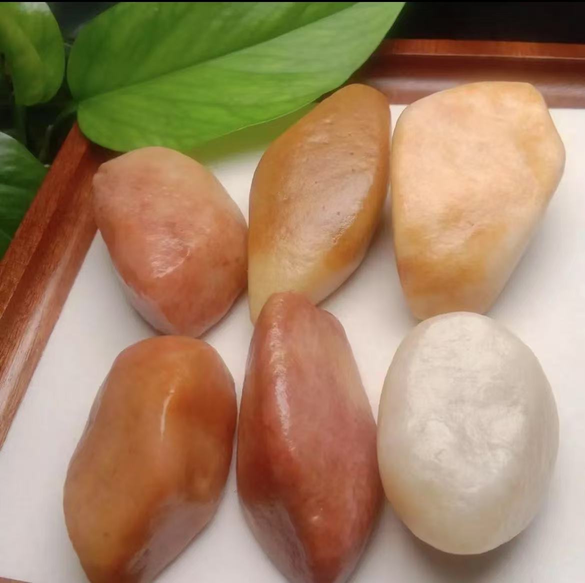新疆戈壁三彩盆景石 黄蜡石 三彩石 泥石（一物一拍，多样性发货）