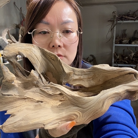 @***床吊坠文玩核桃哈哈哈哈