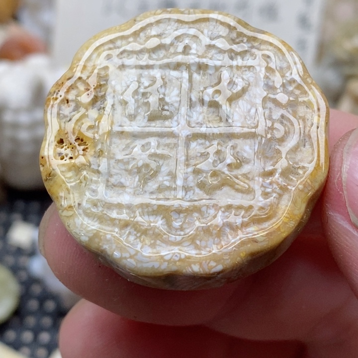 颈饰未镶嵌硅化珊瑚（珊瑚玉）有瑕 没打孔