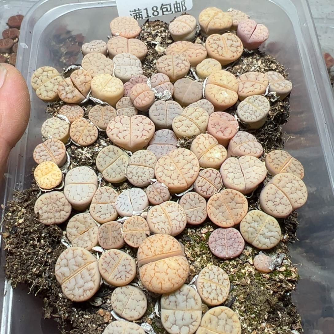 【闪购商品】 641。     