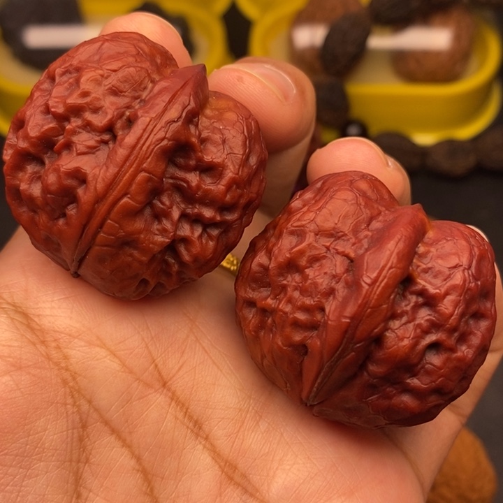 把件文玩核桃39尺帝王筋元宝