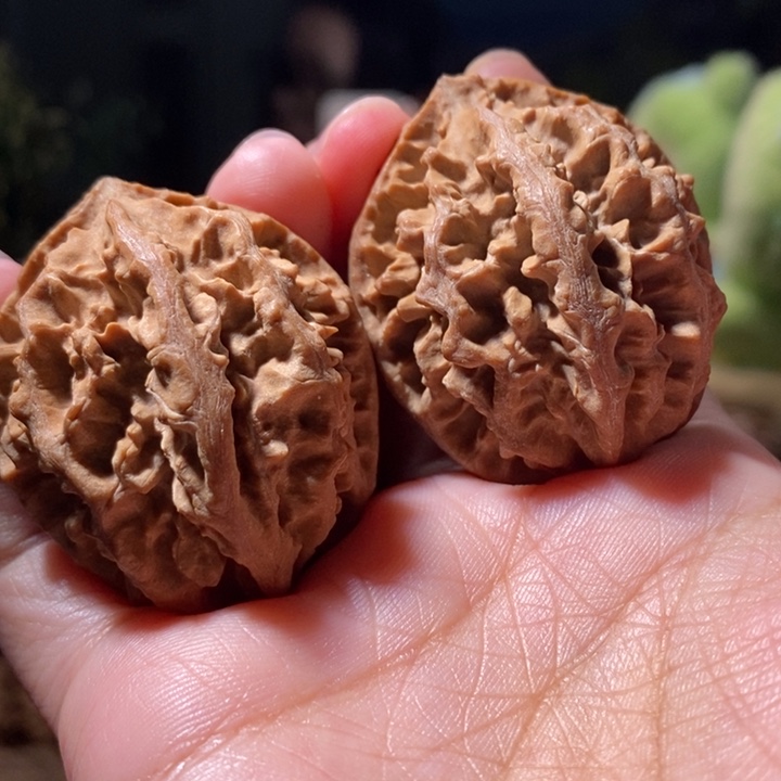 文玩核桃把件东北楸子小路 101