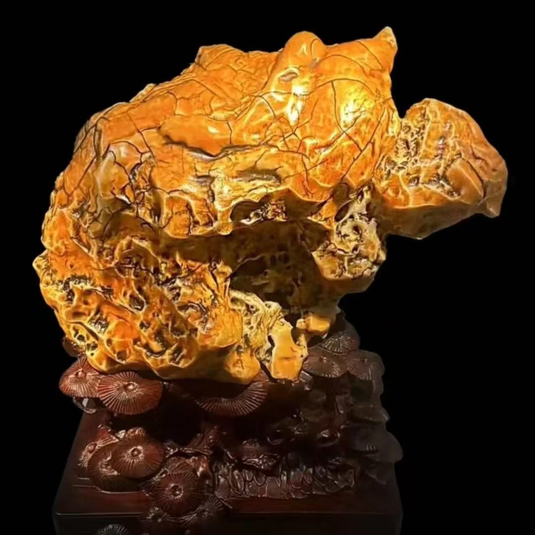 石花，自然天成的观赏摆件