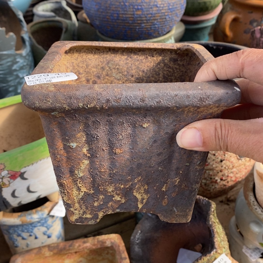 49号多肉盆口径11