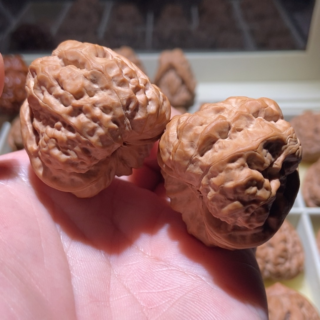 把件文玩核桃41疙瘩包