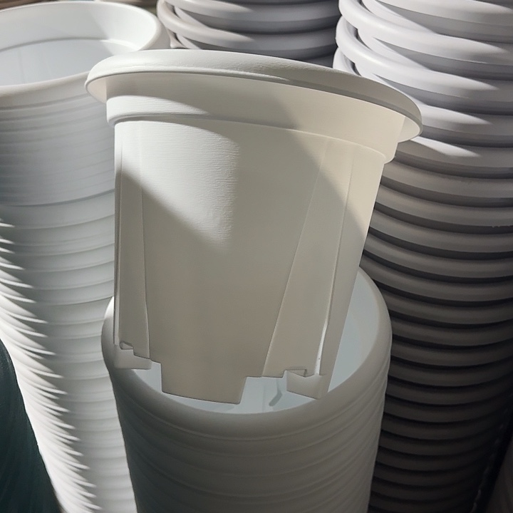 青山6#口径32白色5个无托