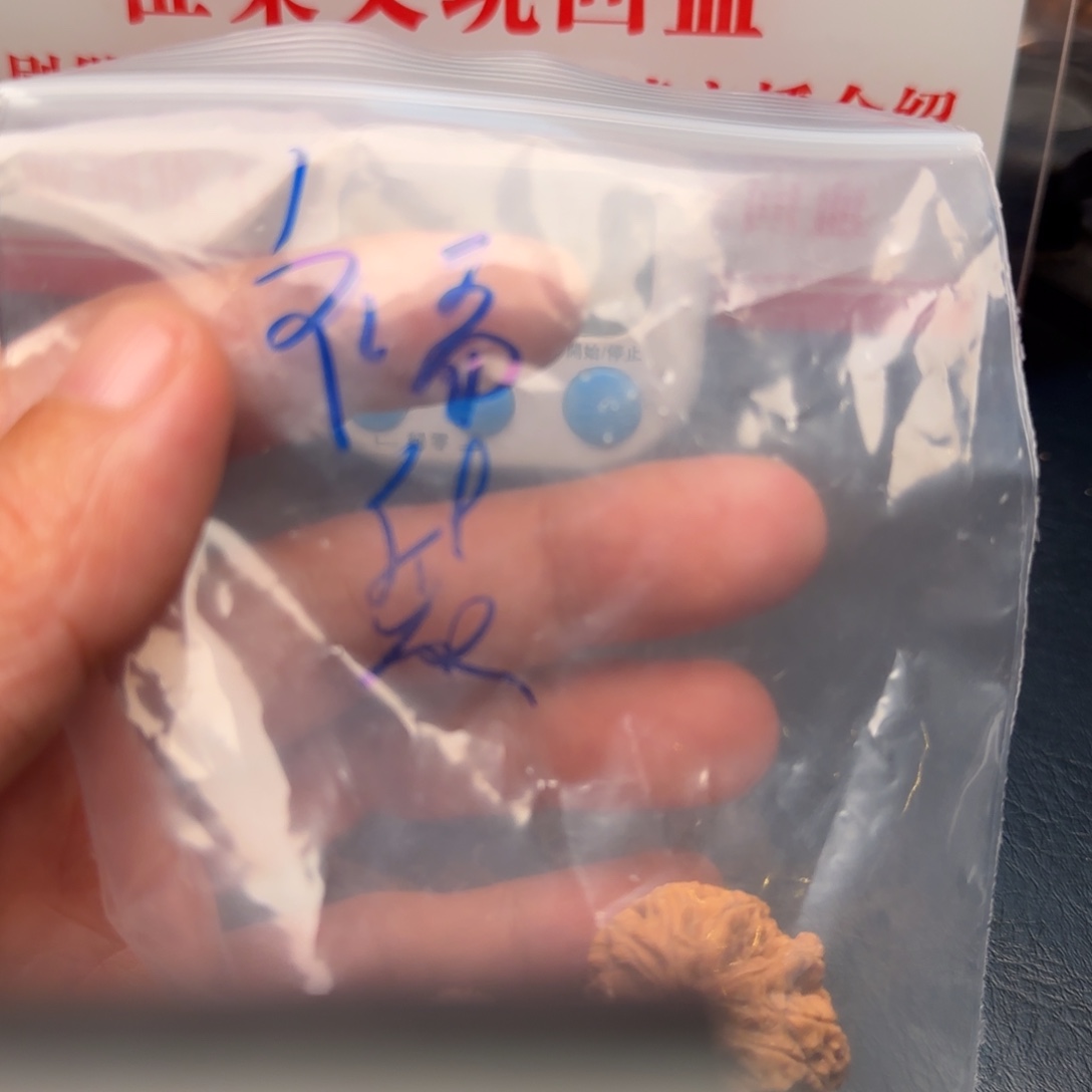 眰***恦吊坠文玩核桃核桃