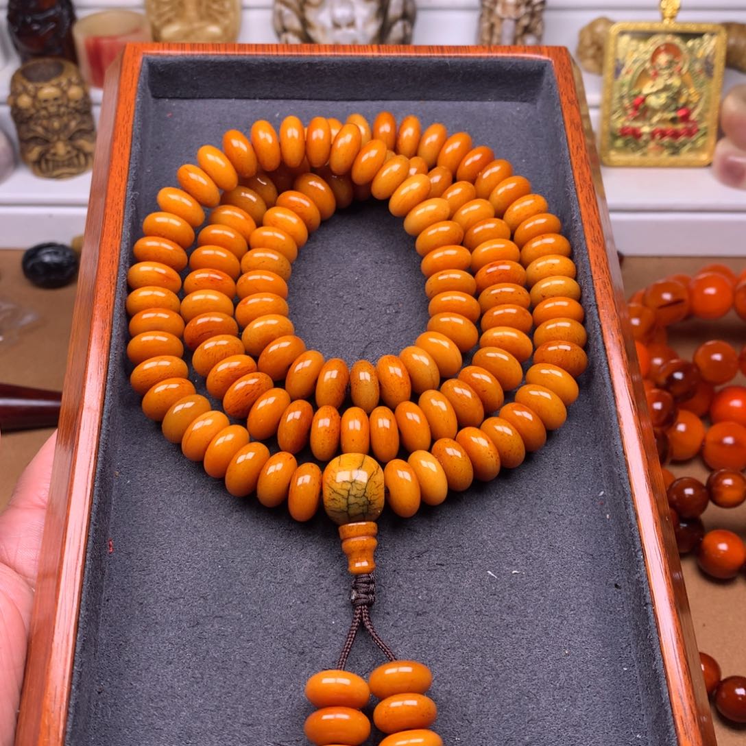 驼骨其他天天都在盘  12