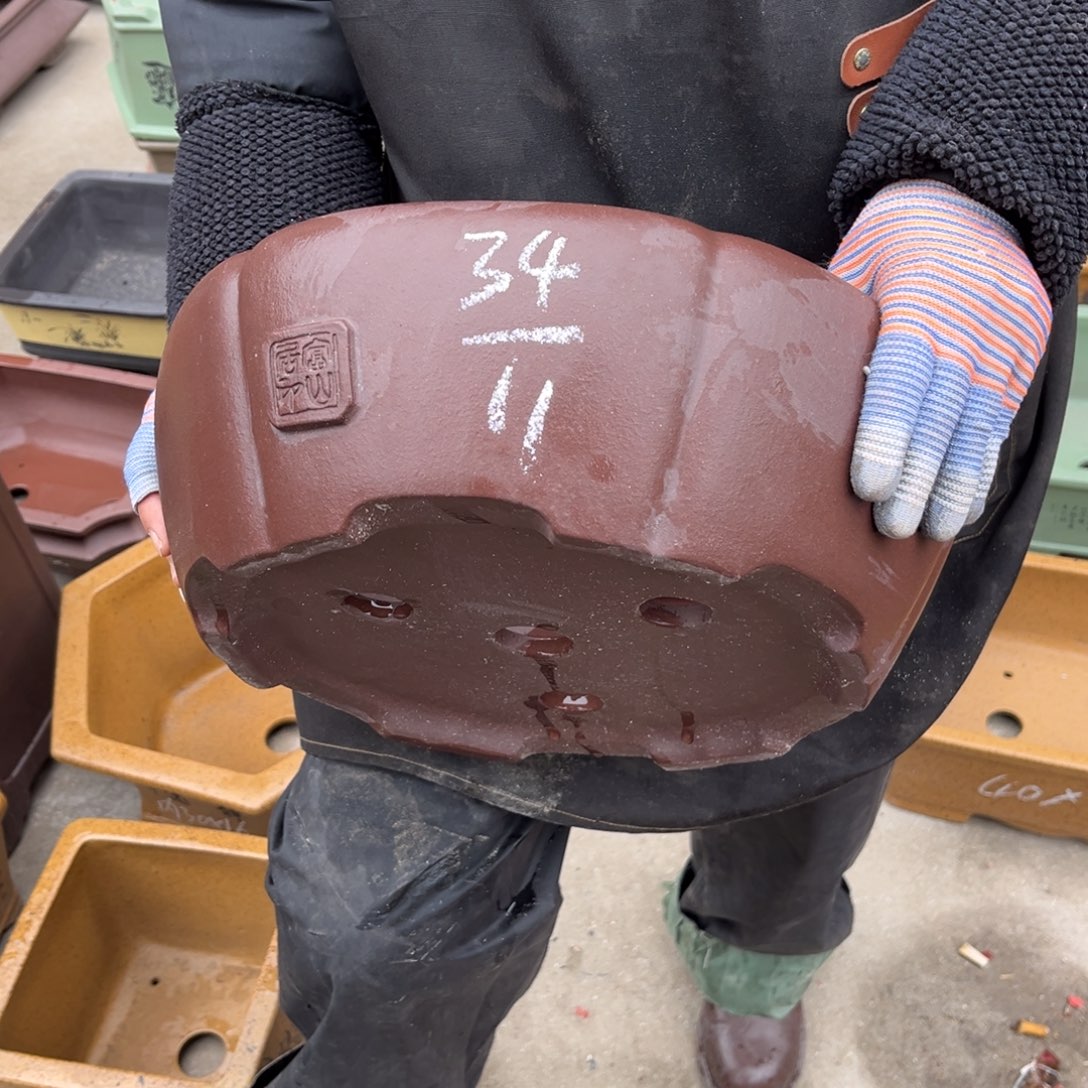 紫砂花盆盆景艺术