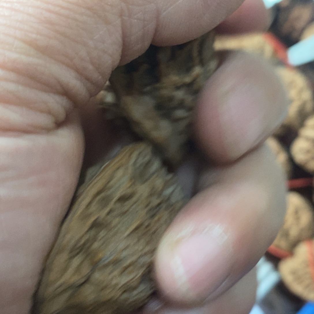 达*秦岭南侧和东北的山