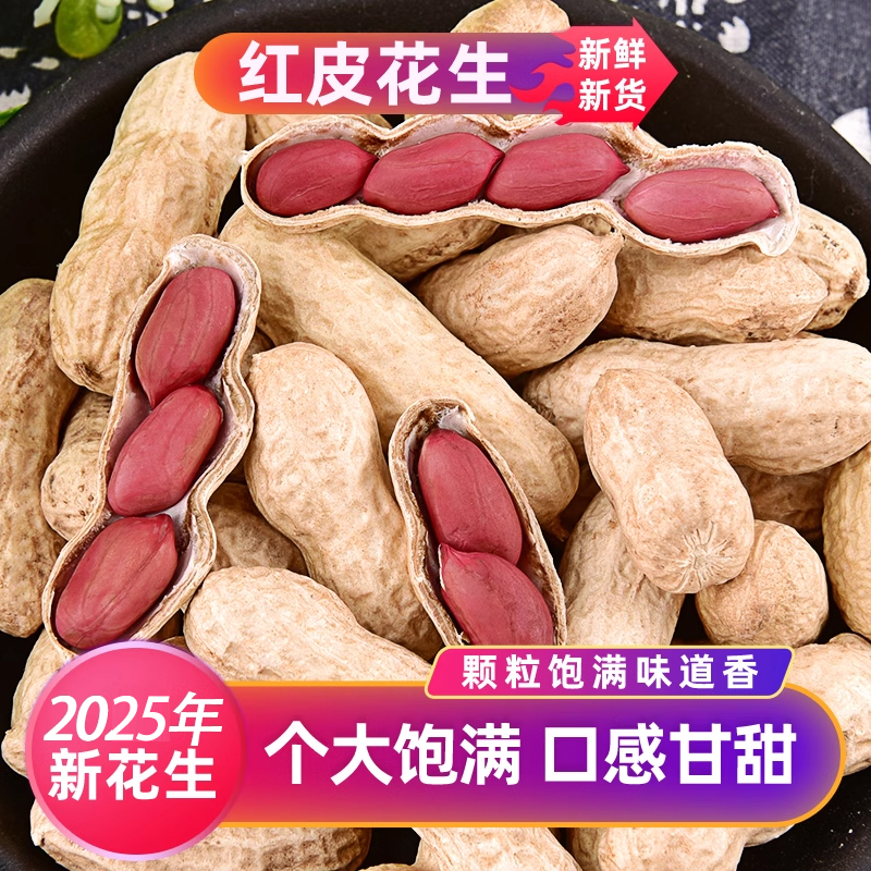 2025年新花生生花生红皮薄壳