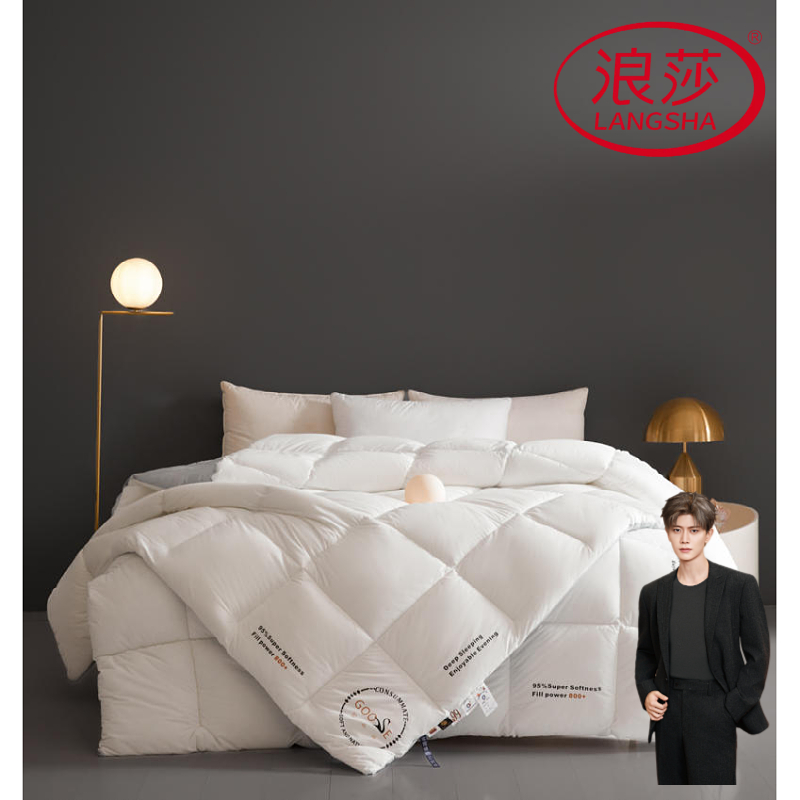 【浪莎·冬季新品】蛋白被子秋冬款蓬松柔软宿舍民宿太空被棉被家用