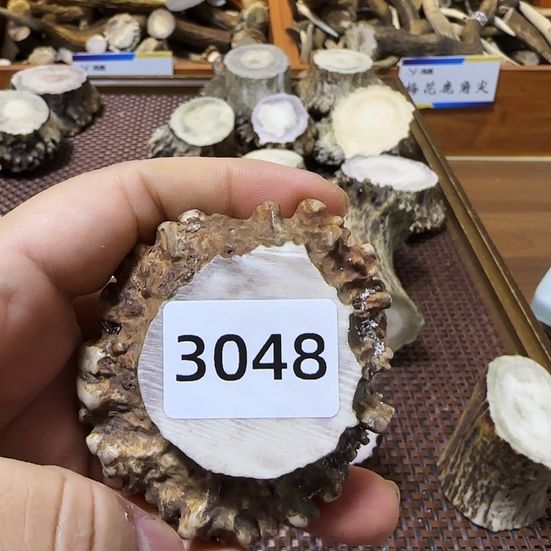 手串/手链鹿骨角帽3048