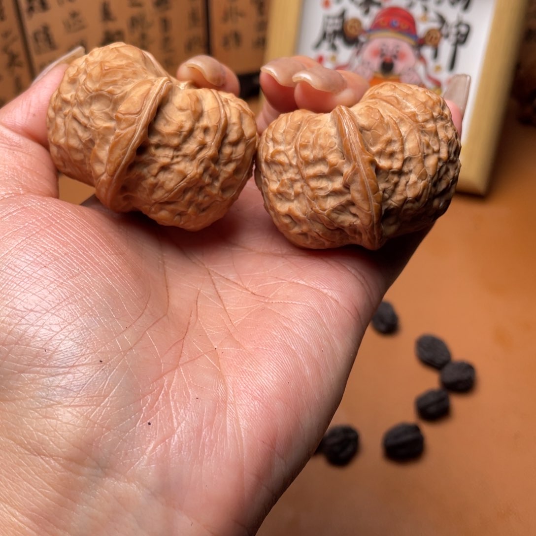 核桃南瓜墩南瓜墩