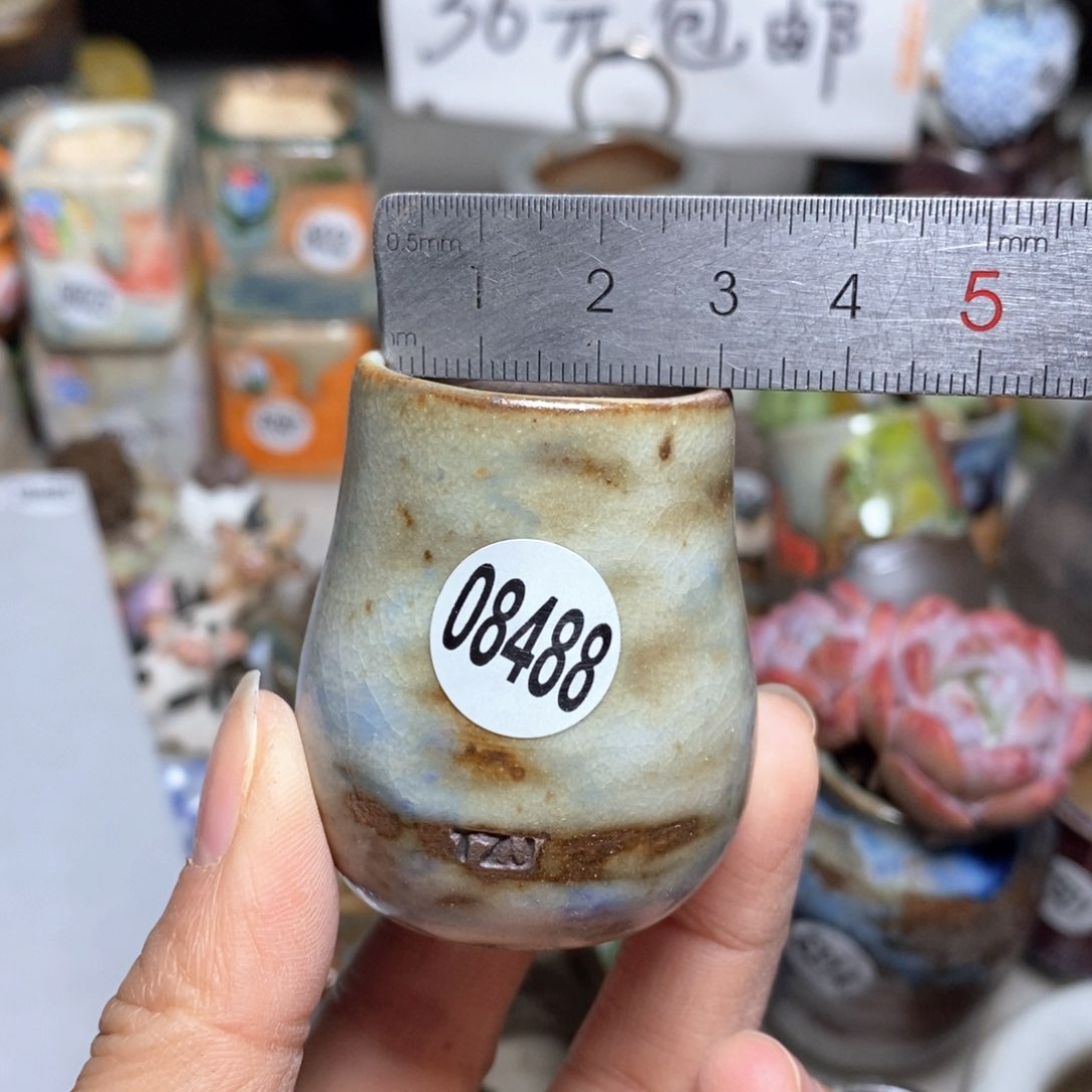 花盆，拍5送一个小礼物